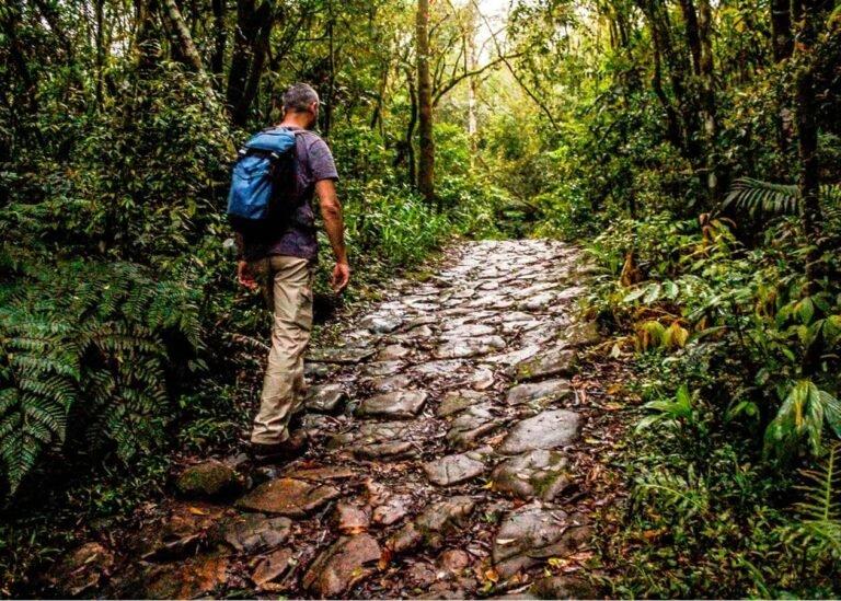 Caminho do Itupava e Serra do Mar: como incluir essa experiência em um roteiro saindo de Curitiba — O que levar e como se preparar