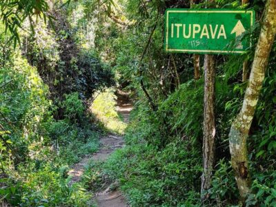 Caminho do Itupava e Serra do Mar: como incluir essa experiência em um roteiro saindo de Curitiba