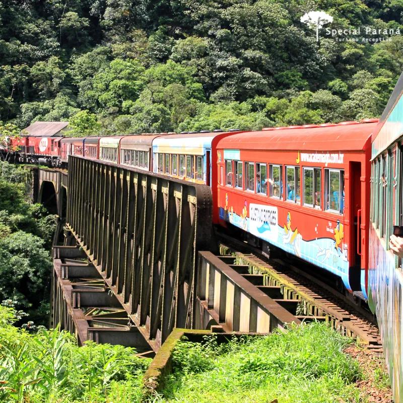 Trem Barão do Serro Azul: como é viajar pela Serra do Mar em um vagão com varanda panorâmica — Serviço de bordo e ambiente interno